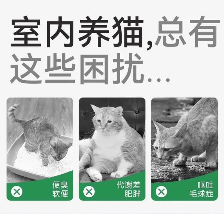 帕特果蔬全价猫粮 2kg 详情图 4