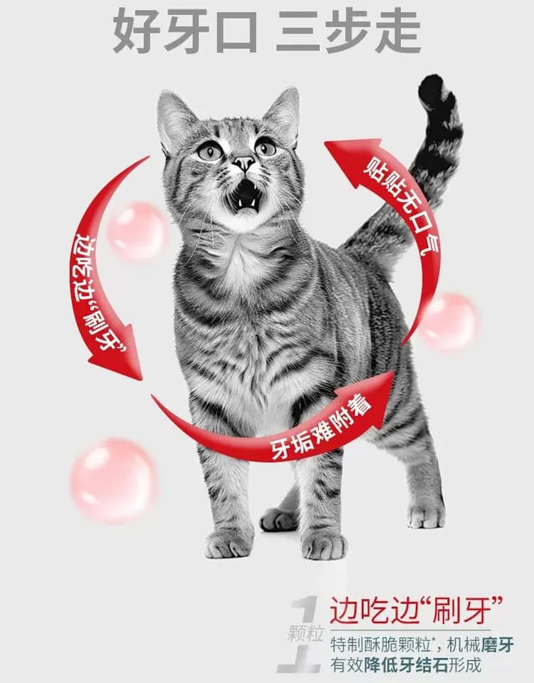 美毛呵护成猫全价粮 2kg 详情图 3