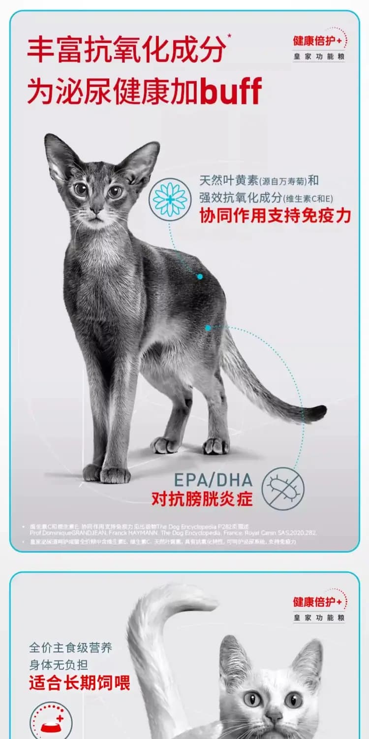 美毛呵护成猫全价粮 2kg 详情图 18