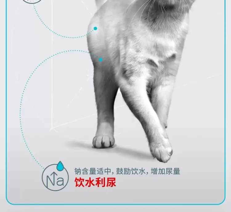 美毛呵护成猫全价粮 2kg 详情图 19