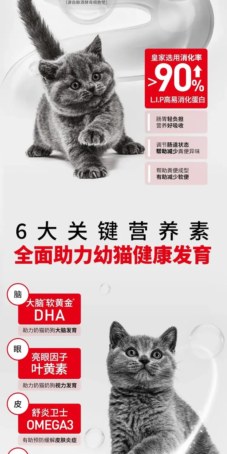 皇家奶糕罐 88g×6 罐(1–4 月龄) 详情图 9