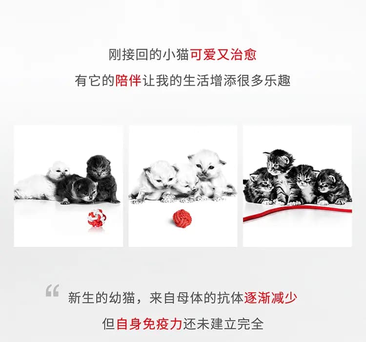 离乳期幼猫全价奶糕猫粮 1.2kg 详情图 2