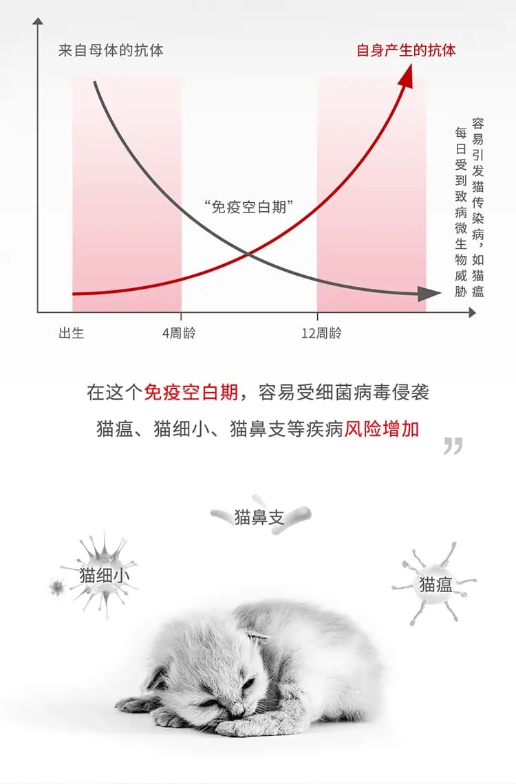 离乳期幼猫全价奶糕猫粮 1.2kg 详情图 3