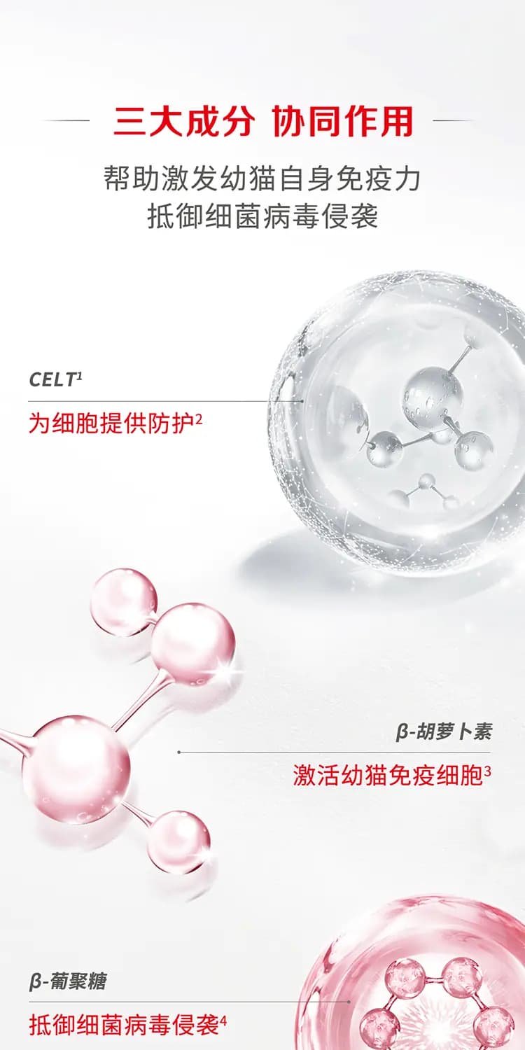 离乳期幼猫全价奶糕猫粮 1.2kg 详情图 5