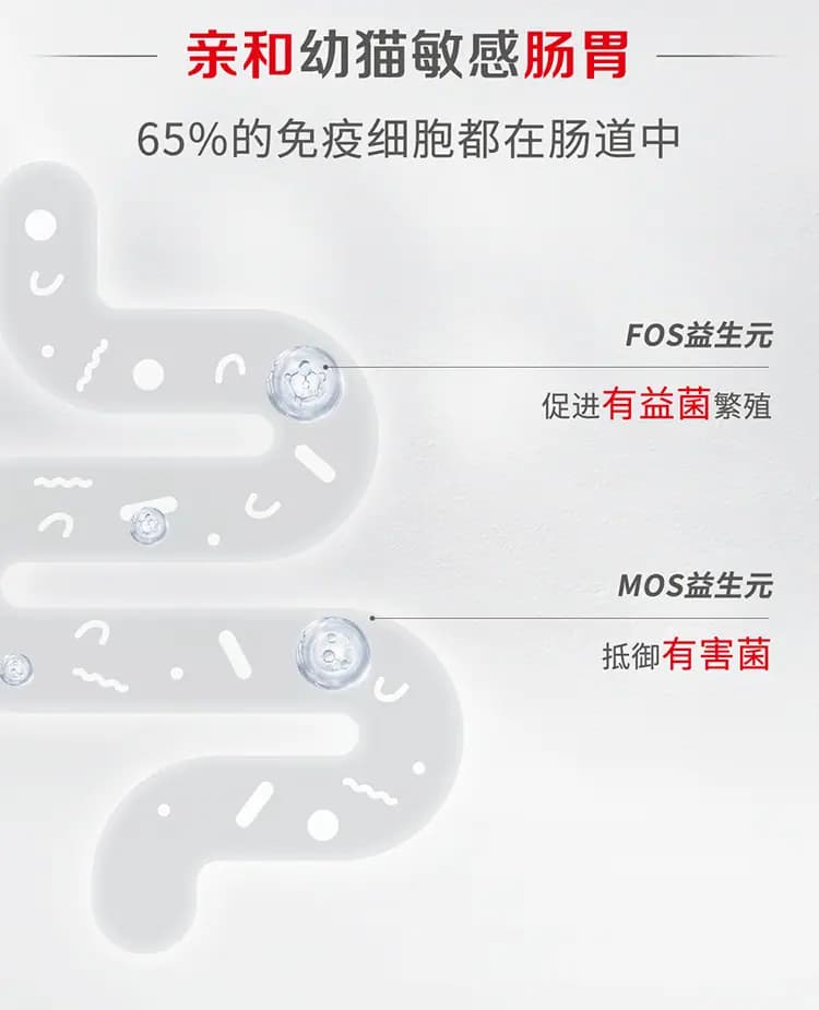离乳期幼猫全价奶糕猫粮 1.2kg 详情图 7