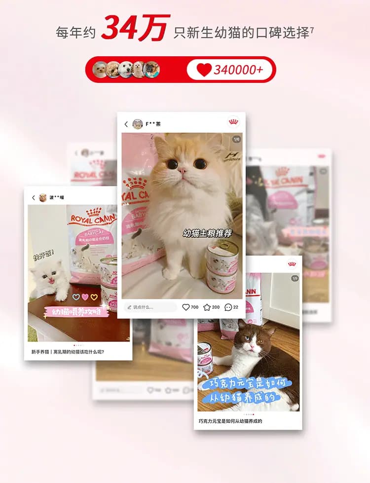 离乳期幼猫全价奶糕猫粮 1.2kg 详情图 11