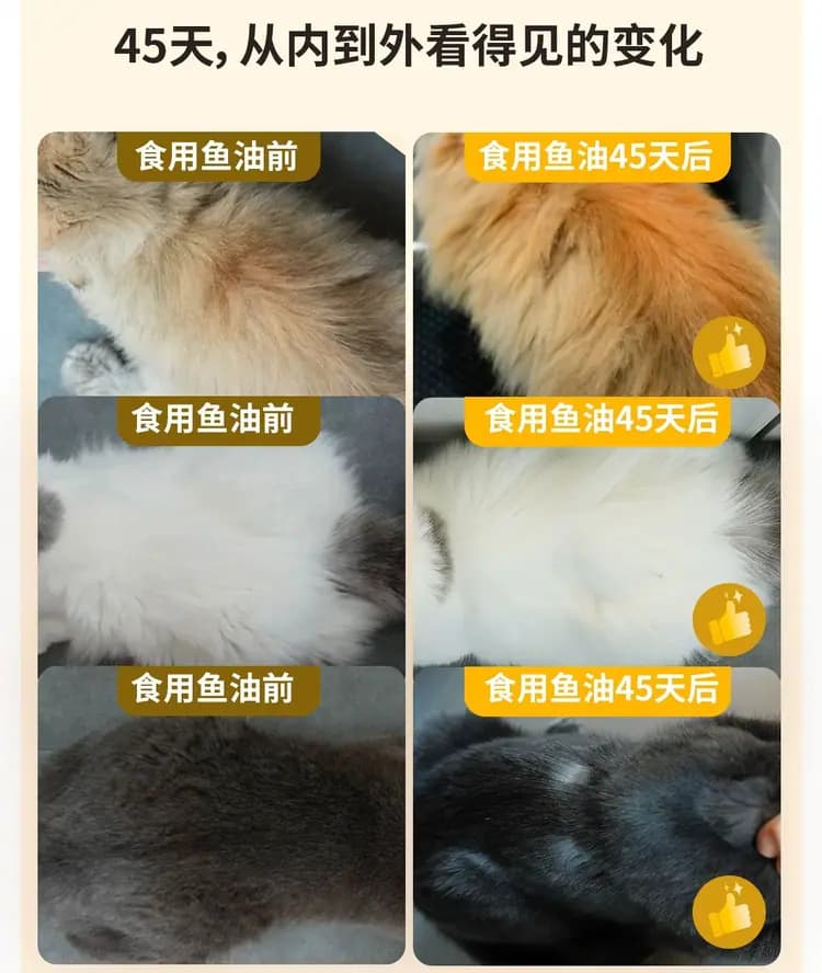 布兰德鱼油鲜鲜酥化猫粮 1.8kg 详情图 8