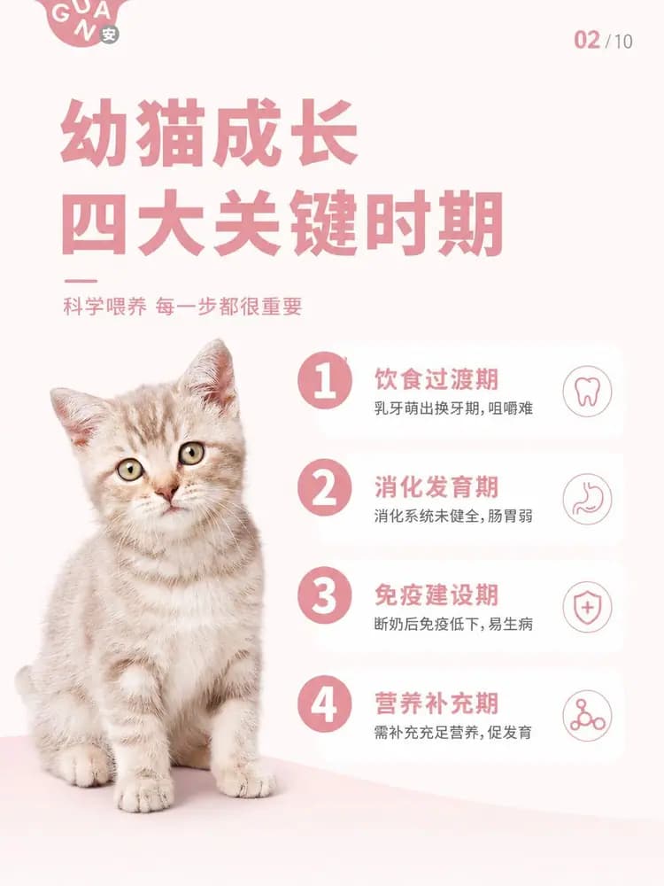 格吾安安罐 详情图 4