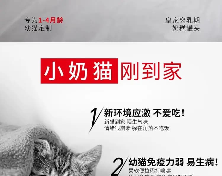 皇家奶糕罐 88g×6 罐(1–4 月龄) 详情图 2
