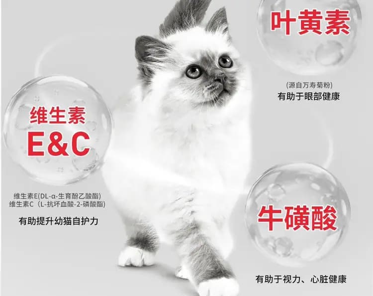 皇家奶糕罐 88g×6 罐(1–4 月龄) 详情图 6