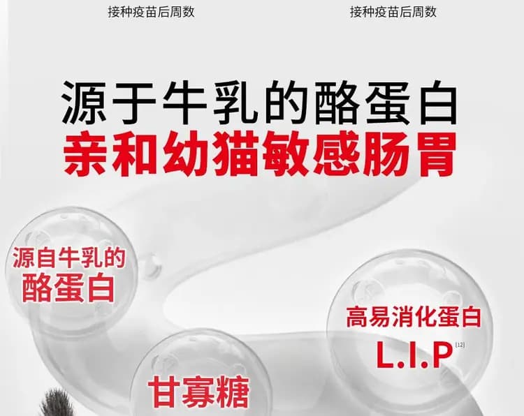 皇家奶糕罐 88g×6 罐(1–4 月龄) 详情图 8