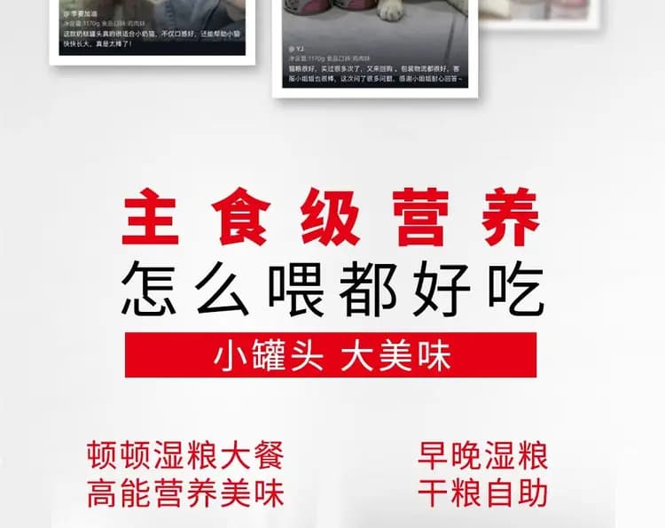 皇家奶糕罐 88g×6 罐(1–4 月龄) 详情图 12