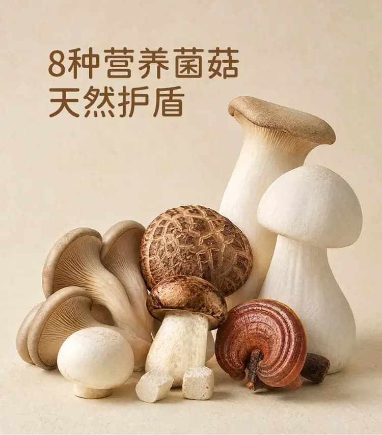 松野之上 菌菇鲜鸭高汤(犬用)100g 详情图 4