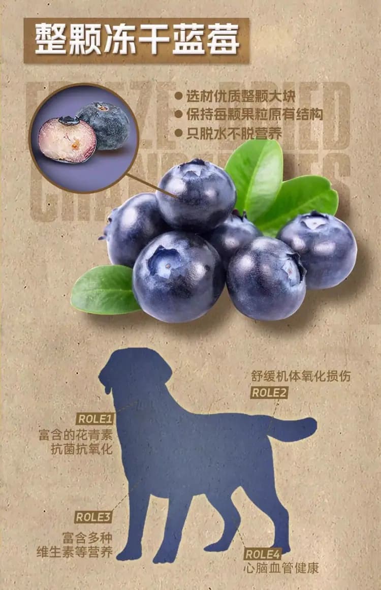 主厨犬粮 1.5kg 详情图 11